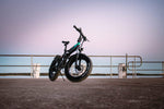 Segway Ninebot Fiido eBike M3 off Road