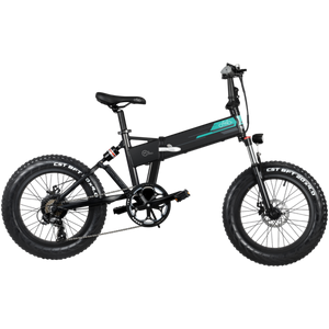 Segway Ninebot Fiido eBike M3 off Road